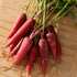 Dragon Carrot